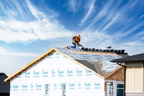 Professional Roof Inspection